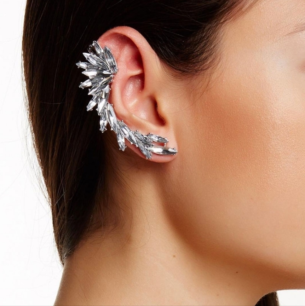 Stainless steel crystal leaf crawler earring nwt